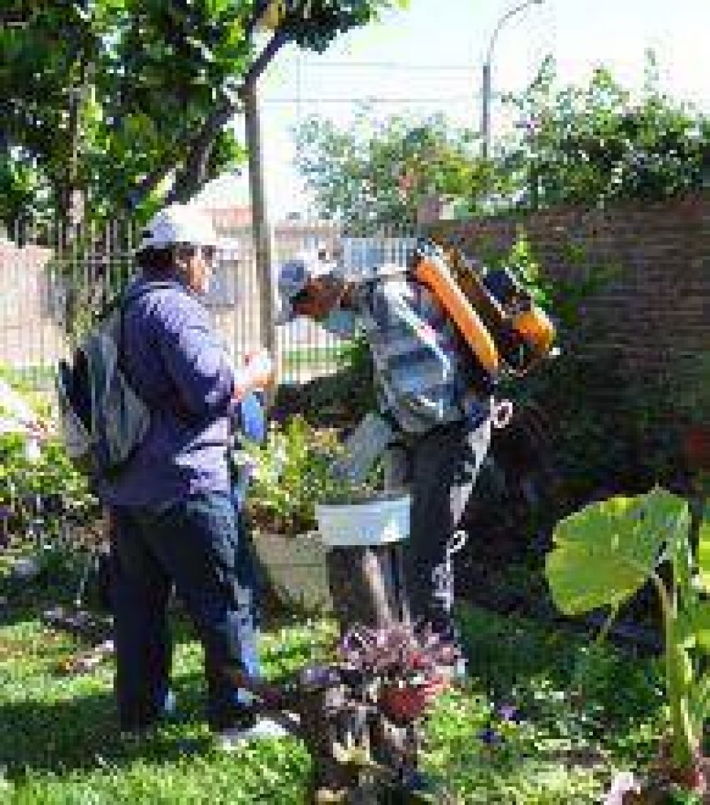 Sigue la prevenci�n contra el dengue y el chikugunya
