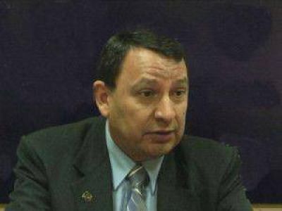 Incautaron m�s de 200 plantines de marihuana