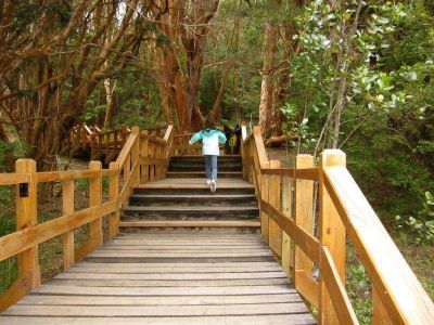 Cierran por tres d�as el sendero del Bosque de los Arrayanes
