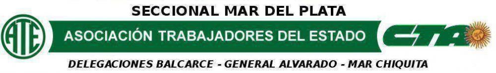 El 3 de Diciembre ATE PARA en todo el pa�s