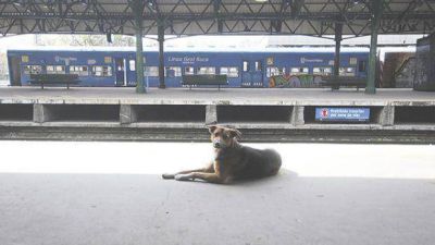 Gremios del transporte har�n un paro de 24 horas y podr�an repetirlo en Navidad y A�o Nuevo