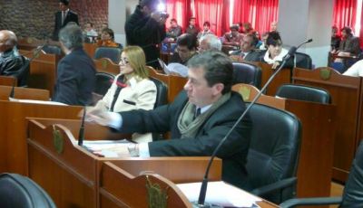 Ingres� el presupuesto 2015 para su tratamiento
