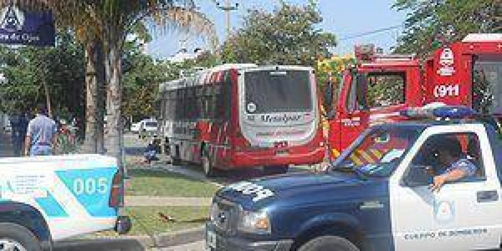 Colectivos quedan fuera de servicio en la calle