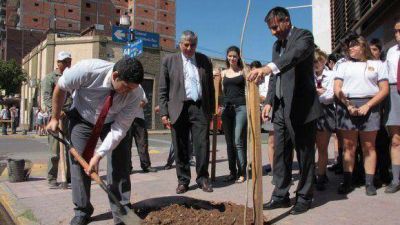 Forestan con m�s de 500 �rboles en el centro