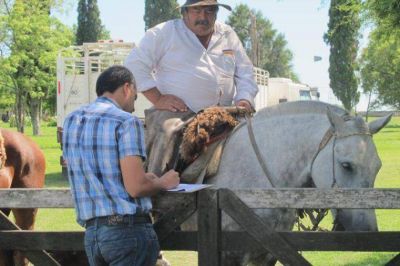 Renatea fiscaliz� explotaciones ganaderas en Entre R�os
