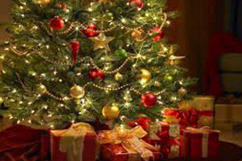 Este a�o, para armar un �rbol de Navidad se deber�n gastar unos 400 pesos