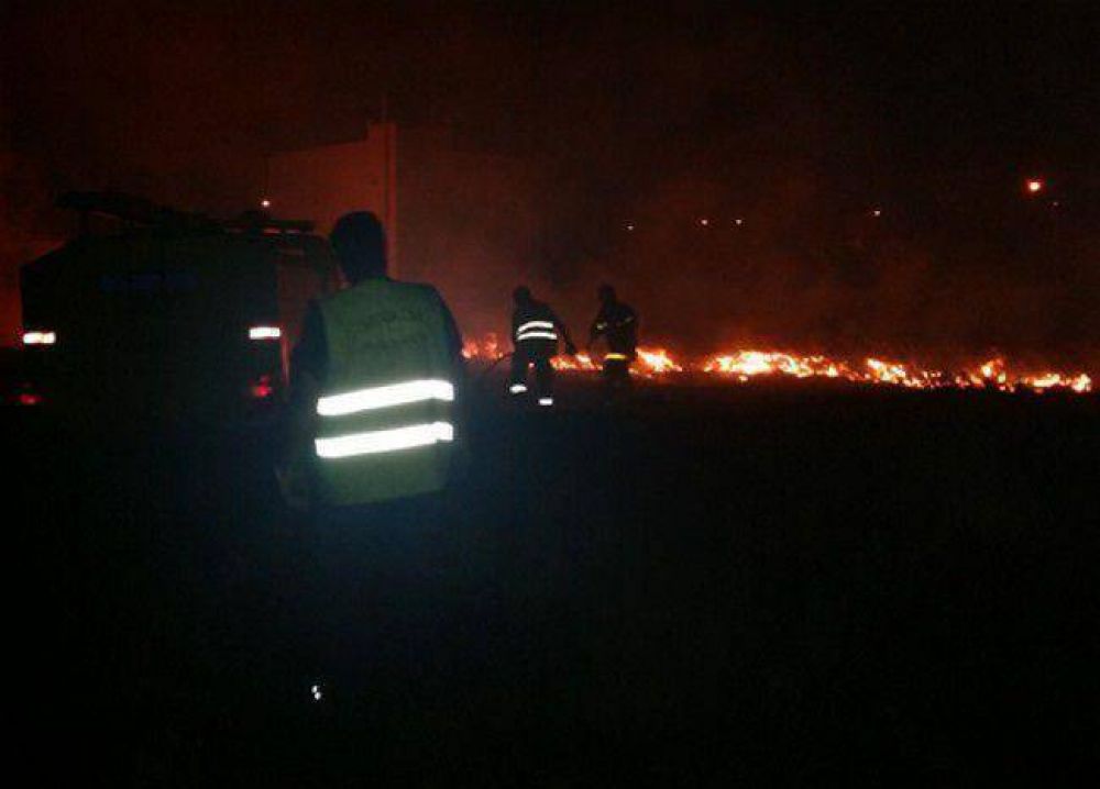 Calor y viento: m�s de 30 incendios de pastizales
