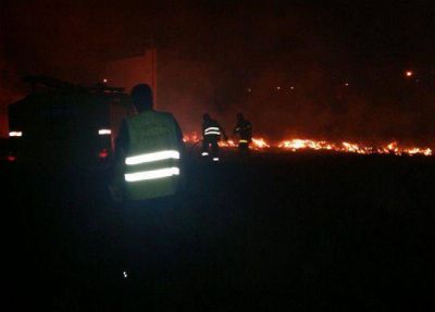 Calor y viento: m�s de 30 incendios de pastizales