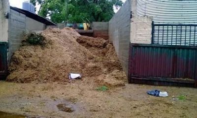 Clausura en un club de equitaci�n: la bosta de caballo contaminaba el agua