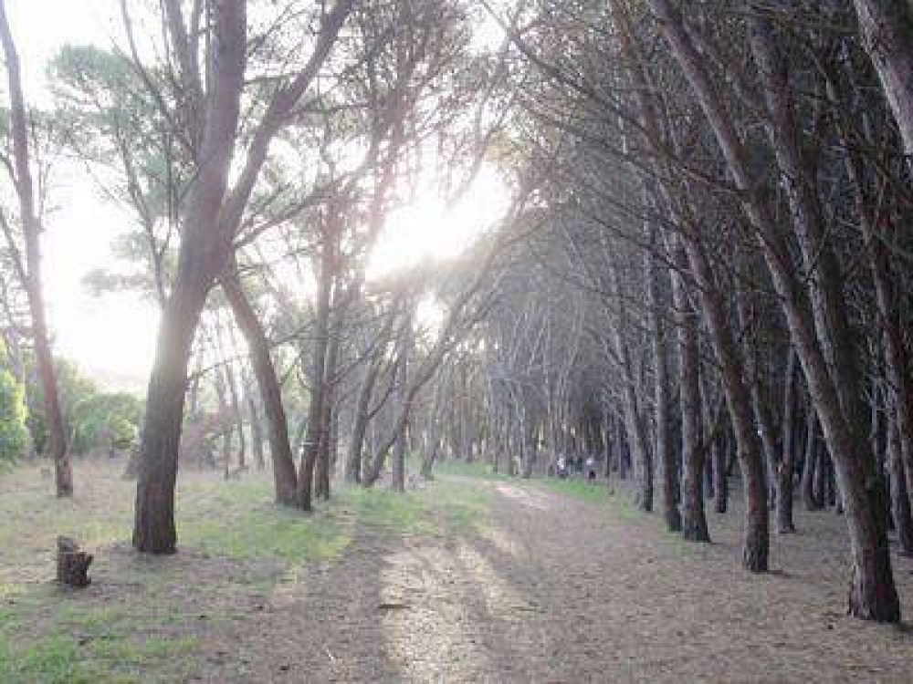 Acordaron un fondo fiduciario para proteger bosques nativos