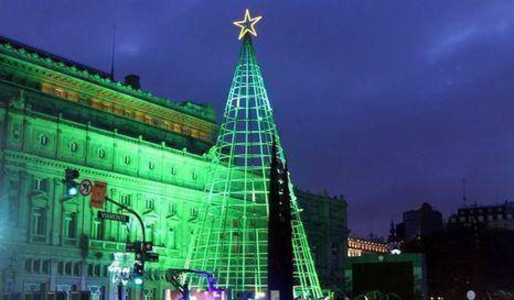 El �rbol m�s alto del pa�s ya est� en la Ciudad