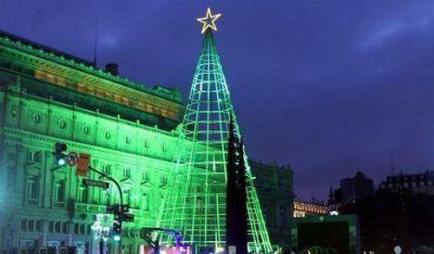 El �rbol m�s alto del pa�s ya est� en la Ciudad