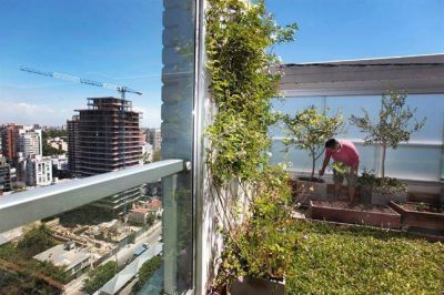 Agroecolog�a urbana; alimentos sanos: del huerto en casa a la mesa