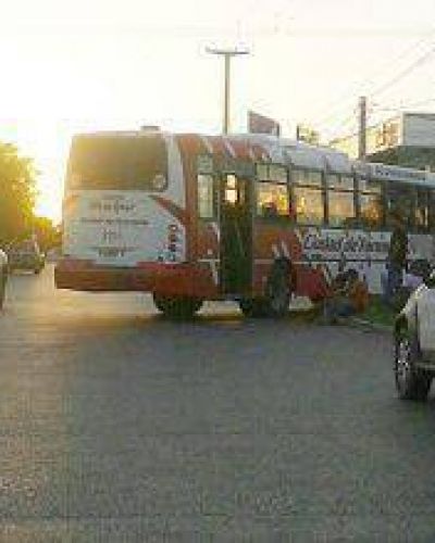 La Defensor�a se opone a que suspendan subsidios al transporte urbano de pasajeros