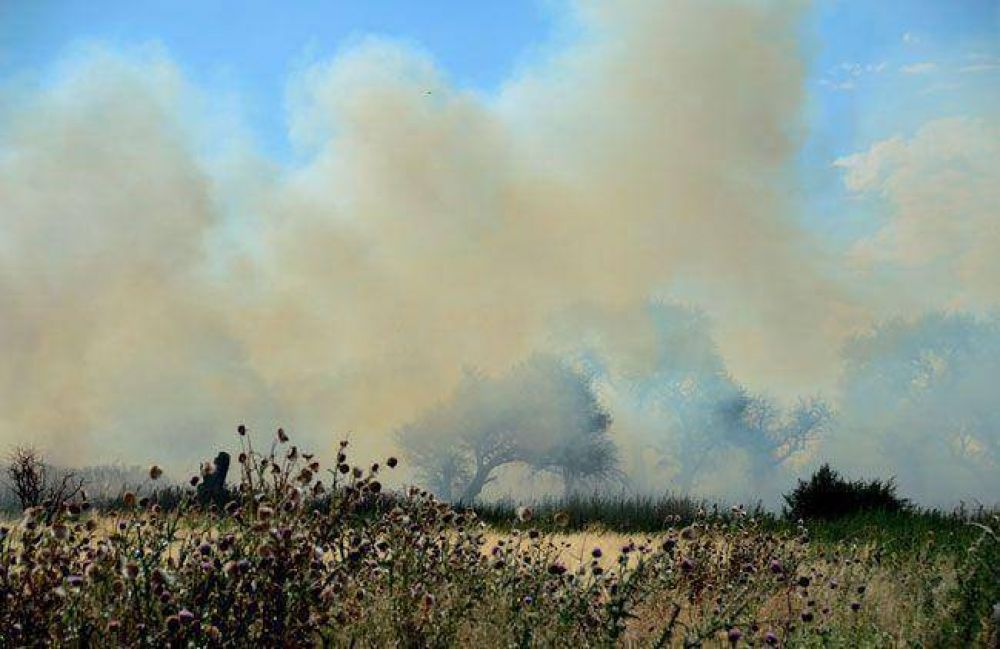 Tres focos de incendio en la ciudad por el calor