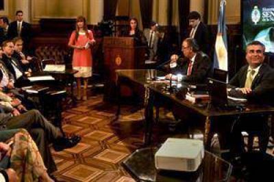 Vanoli dej� muchas dudas, pero avanza el dictamen en el Senado