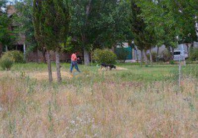 Por la ola de robos, vecinos de R�o Grande piden ayuda 