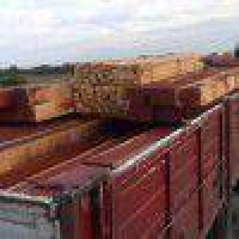 Santa Sylvina: secuestran camin con carga ilegal de madera