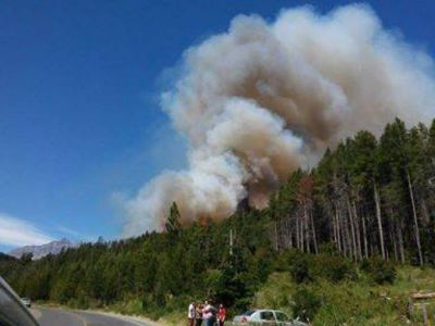 Incendio afect� hect�reas de bosque nativo en la Comarca Andina