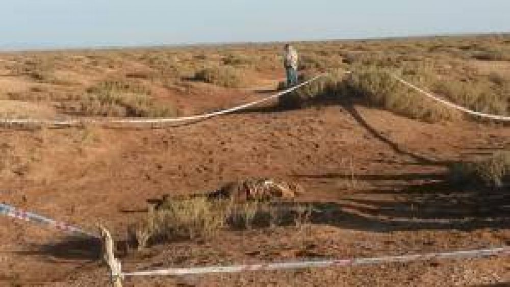 El anciano perdido muri� en el campo por falta de agua