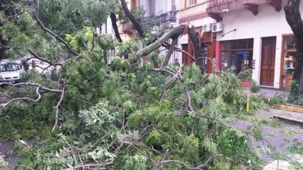 El temporal tuvo r�fagas de casi 120 km/h, cayeron 200 �rboles y hubo cinco heridos