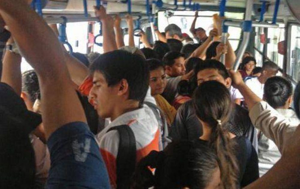 Paro en cuatro l�neas del transporte urbano de C�rdoba