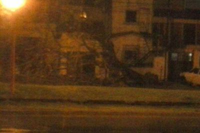 El temporal caus� la ca�da de �rboles y familias anegadas en Paran�