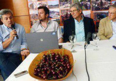 Las cerezas neuquinas vuelan ma�ana directo al exterior 