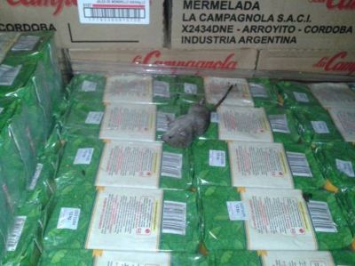 Conmoci�n por m�s casos de hantavirus