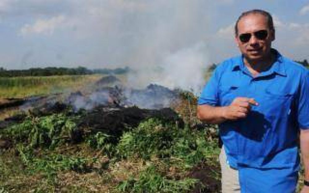 Merlo: Quemaron mil kilogramos de marihuana en un operativo de la Federal