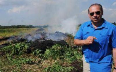 Merlo: Quemaron mil kilogramos de marihuana en un operativo de la Federal