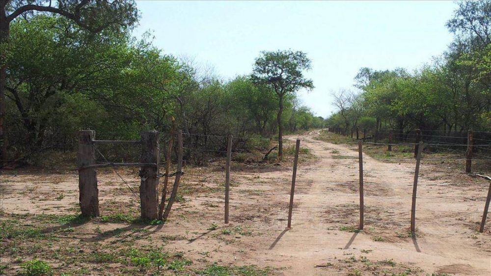 Comienza un juicio ligado a maniobras con tierras de Anta