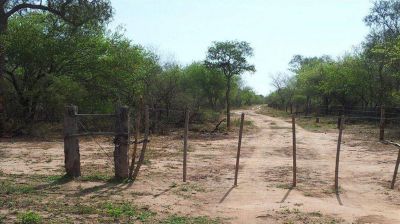 Comienza un juicio ligado a maniobras con tierras de Anta