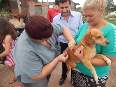 Mongel� encabez� una jornada de vacunaci�n para mascotas en Villa R�o Negro