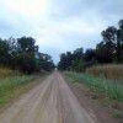 Apareci� degollado dentro de su autom�vil en un camino rural