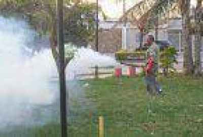 Campa�a contra el dengue y chikungunya