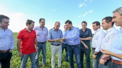 Massa sum� al intendente de Viamonte
