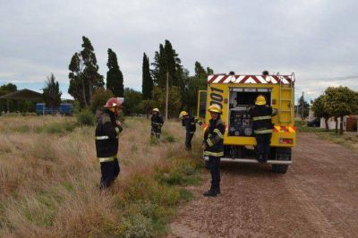 Bomberos acudieron a incendio de pastos y debieron quemar a pedido de los vecinos 