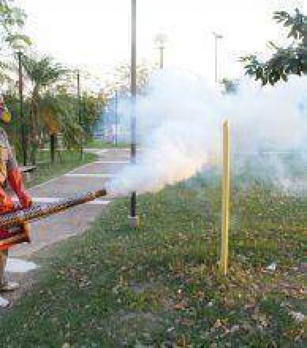 Contra el dengue