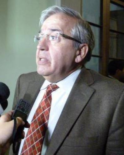 Godoy sobre las elecciones: �David tampoco es la estampita del milagro que llega �l y nos salvamos todos� 