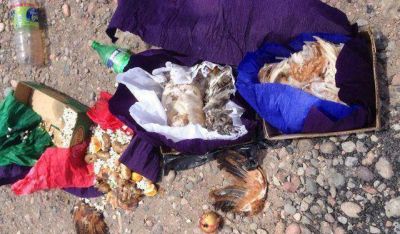 Vecinos de Pocito temerosos por aparici�n de �elementos de brujer�a�