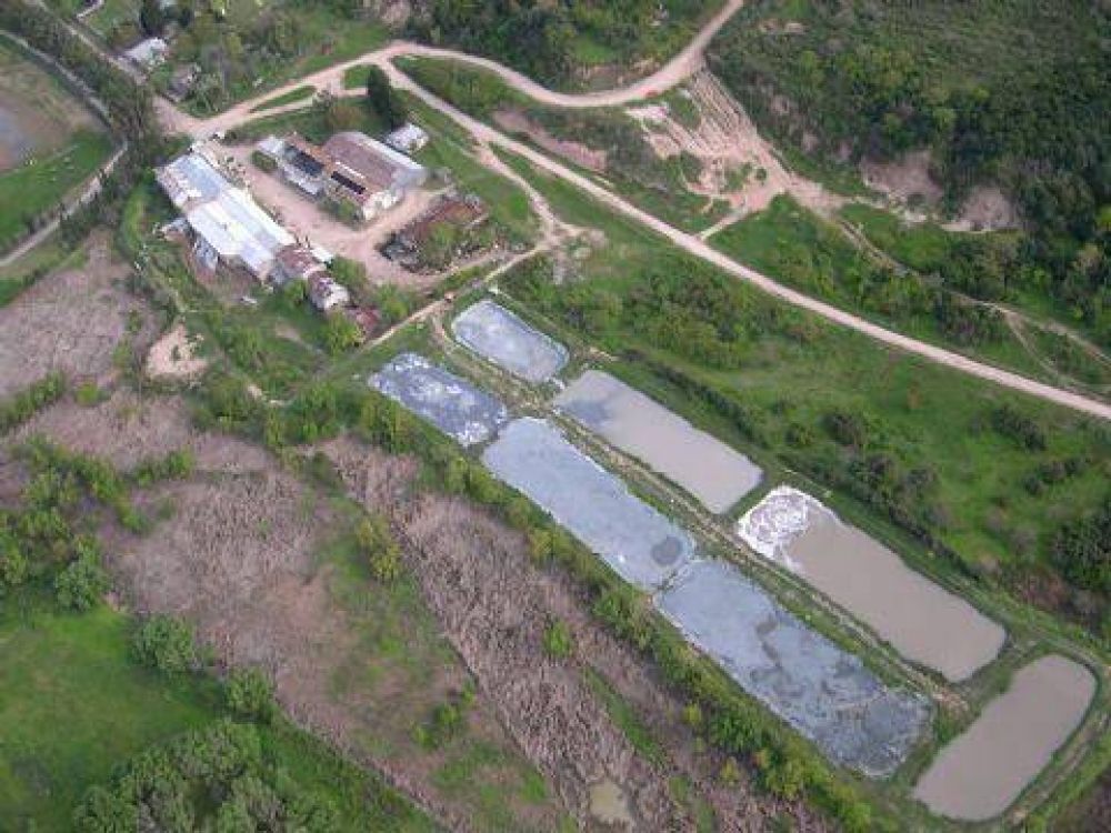 Antonijevic denuncia que usan barros industriales para arreglar calles