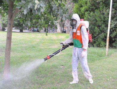 La UNLP crea insecticida contra el Dengue