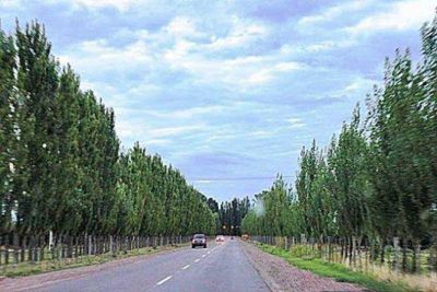 Suspenden la apertura de ofertas para construir la doble v�a Alvear - San Rafael