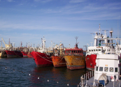 �En Mar del Plata hay m�s de 200 buques obsoletos�