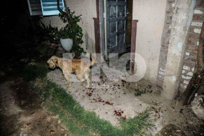 Asesinaron a una adolescente de 16 a�os en el B� San Lorenzo