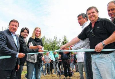 El Bols�n se sum� al sistema interconectado