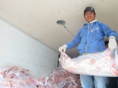 Exitosa venta de chivos y corderos en el Mercado Comunitario
