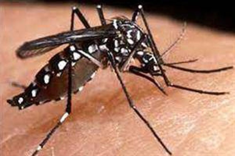 Prevencin en centros tursticos para alertar sobre el chikungunya