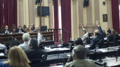 Rebeli�n en el Senado por un ley que no quer�a el Ejecutivo